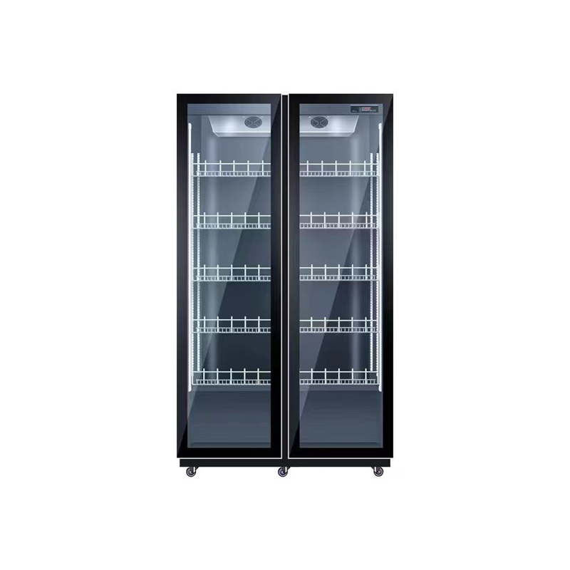 Doppeltüriger Luftkühlungskühl – Wine Beer Dual Zone Bewertung und Preis